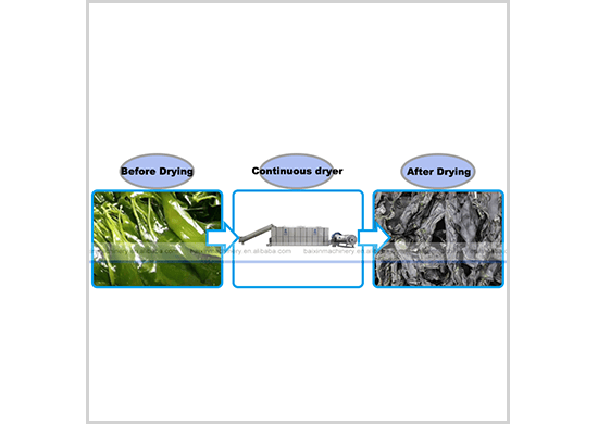 kelp dryer/drying machine